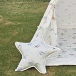 Airplane Teepee